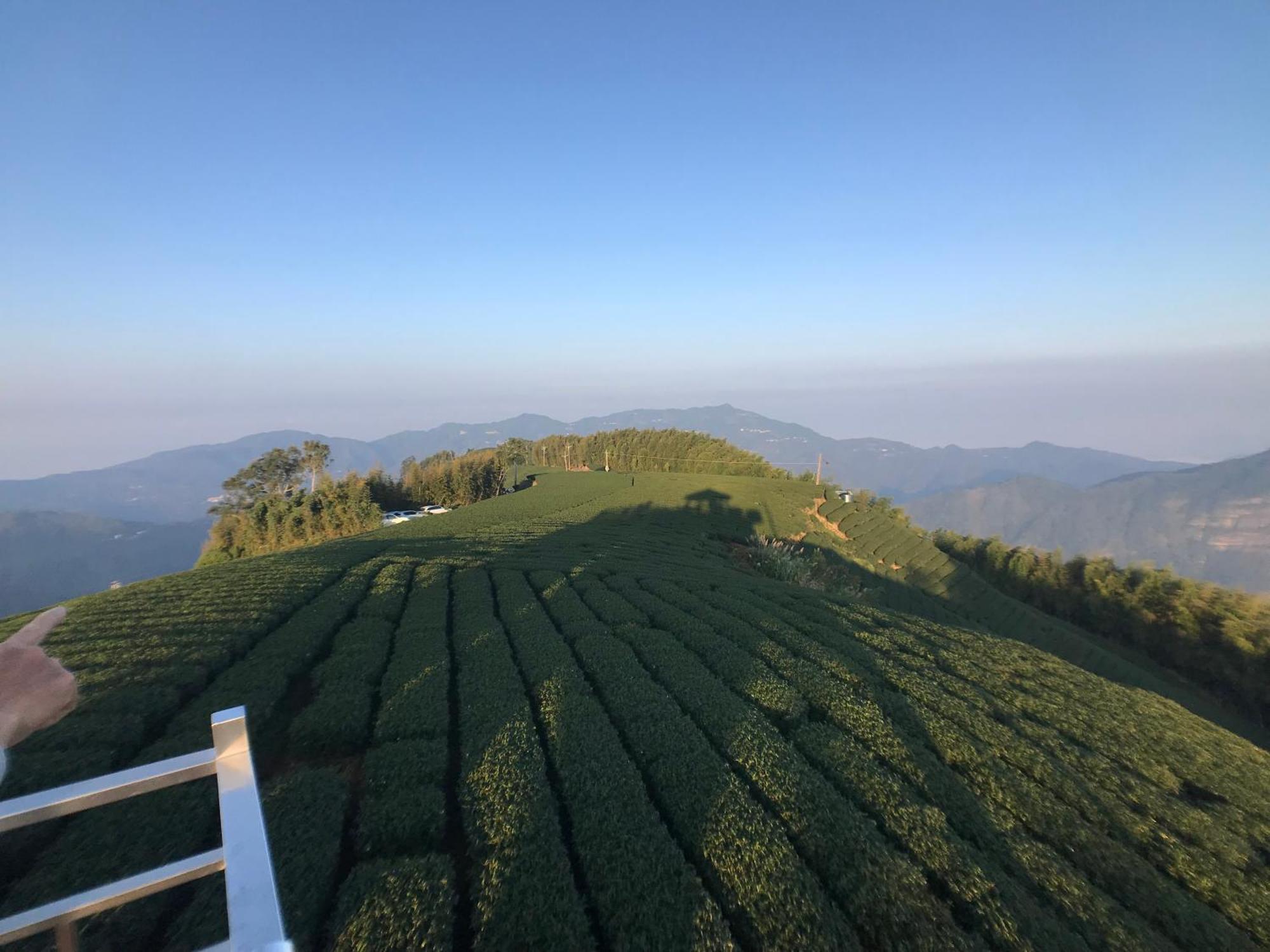 De Ren Tea Gardens Apartment Meishan Екстериор снимка