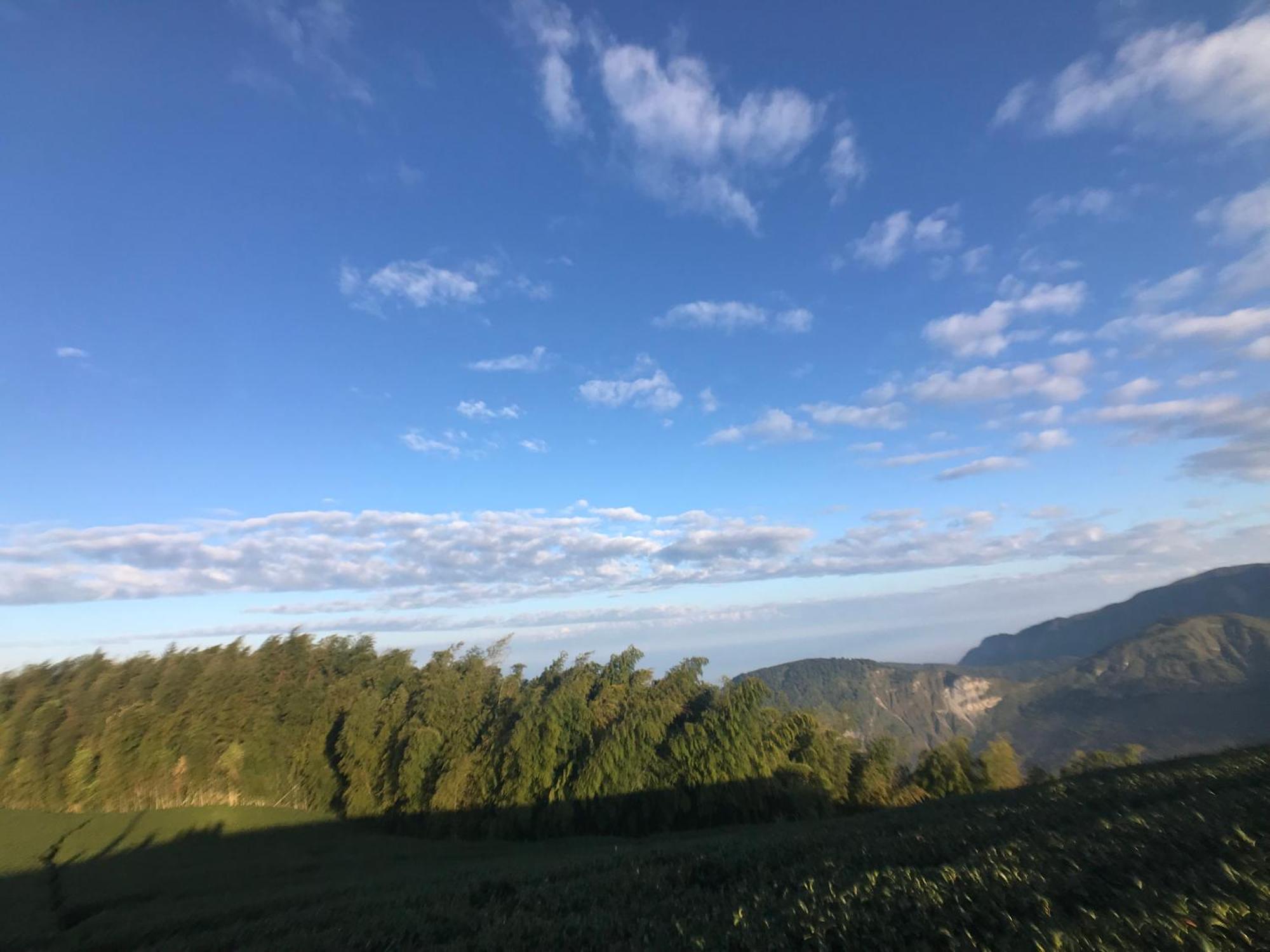 De Ren Tea Gardens Apartment Meishan Екстериор снимка
