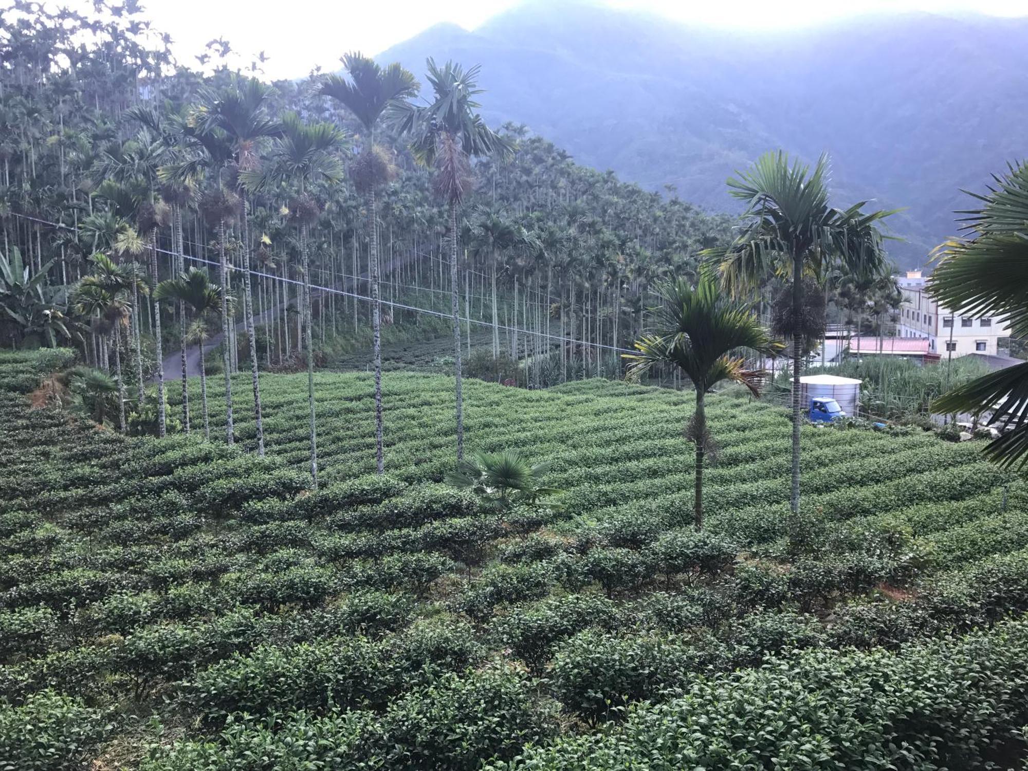 De Ren Tea Gardens Apartment Meishan Екстериор снимка