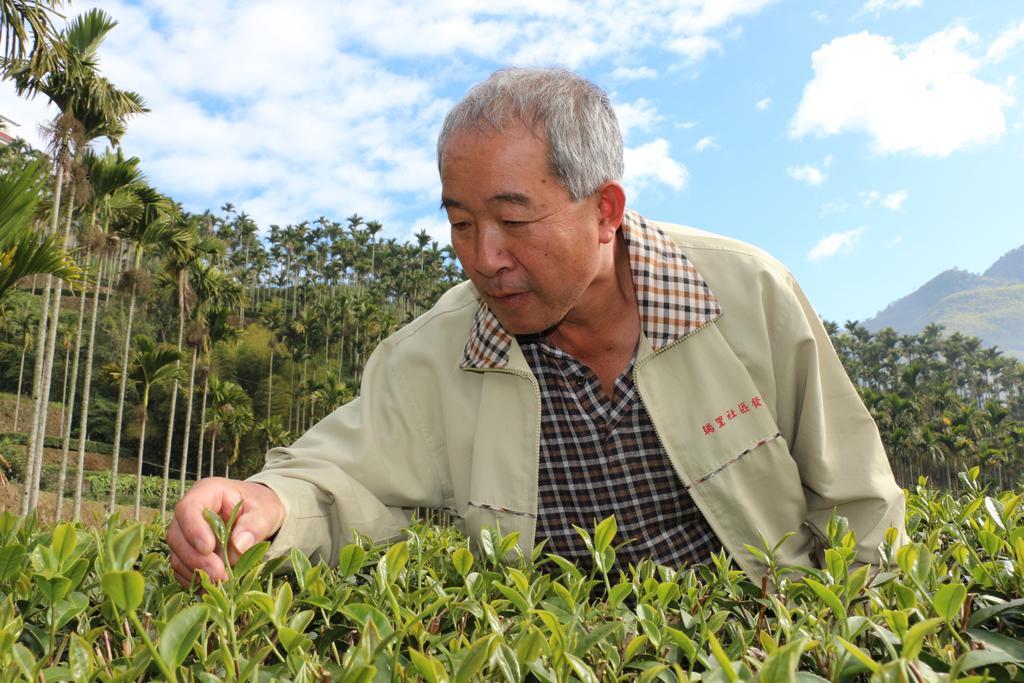 De Ren Tea Gardens Apartment Meishan Екстериор снимка
