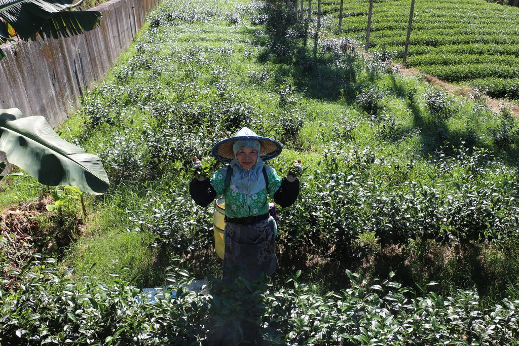De Ren Tea Gardens Apartment Meishan Екстериор снимка
